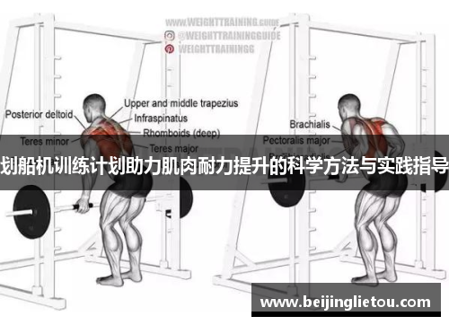 划船机训练计划助力肌肉耐力提升的科学方法与实践指导