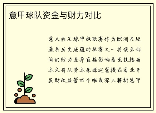 意甲球队资金与财力对比