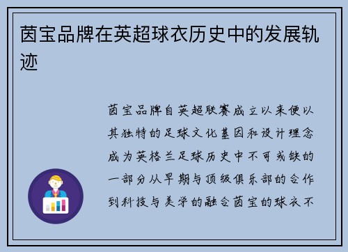 茵宝品牌在英超球衣历史中的发展轨迹